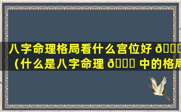 八字命理格局看什么宫位好 🐟 （什么是八字命理 🐛 中的格局）